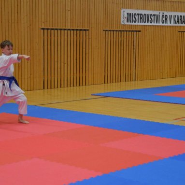 Mistrovství FSKA Funakoshi Cup 21.6.2025