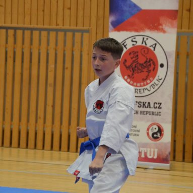 Mistrovství FSKA Funakoshi Cup 21.6.2025