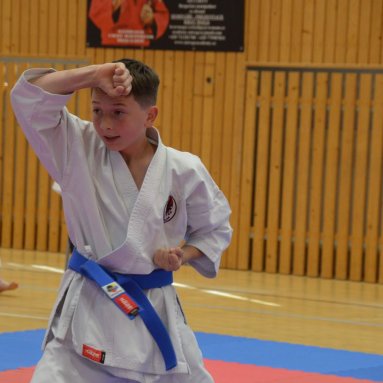 Mistrovství FSKA Funakoshi Cup 21.6.2025