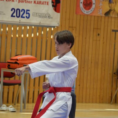 Mistrovství FSKA Funakoshi Cup 21.6.2025
