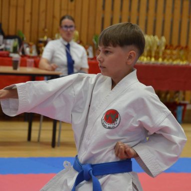 Mistrovství FSKA Funakoshi Cup 21.6.2025