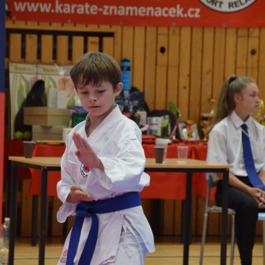 Mistrovství FSKA Funakoshi Cup 21.6.2025