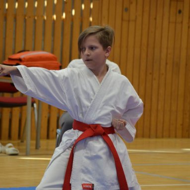 Mistrovství FSKA Funakoshi Cup 21.6.2025