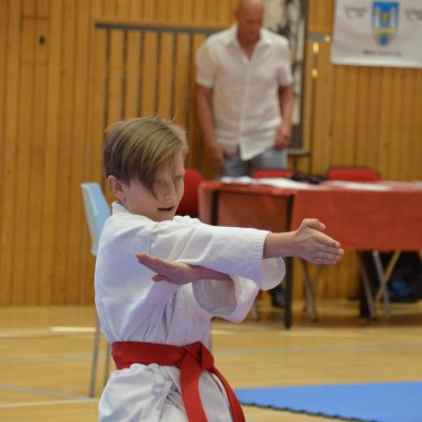 Mistrovství FSKA Funakoshi Cup 21.6.2025