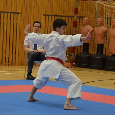 Mistrovství FSKA Funakoshi Cup 21.6.2025