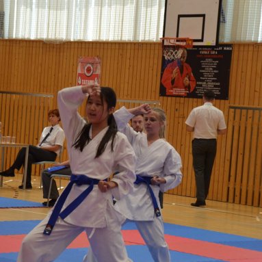 Mistrovství FSKA Funakoshi Cup 21.6.2025