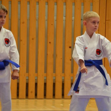 Mistrovství FSKA Funakoshi Cup 21.6.2025