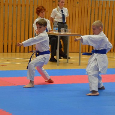 Mistrovství FSKA Funakoshi Cup 21.6.2025