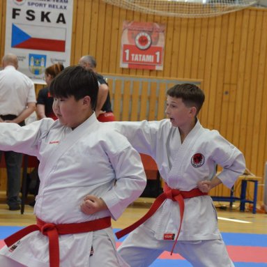 Mistrovství FSKA Funakoshi Cup 21.6.2025