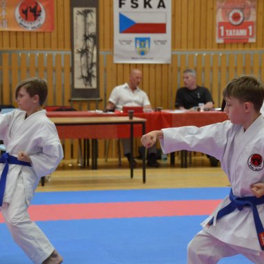 Mistrovství FSKA Funakoshi Cup 21.6.2025
