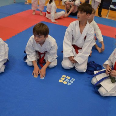 Mistrovství FSKA Funakoshi Cup 21.6.2025