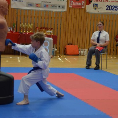 Mistrovství FSKA Funakoshi Cup 21.6.2025