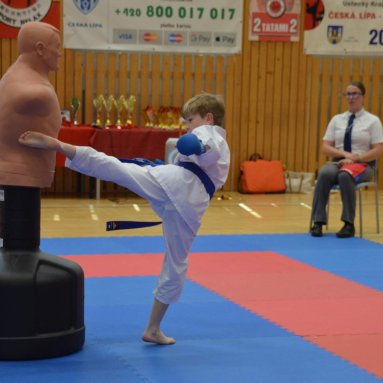 Mistrovství FSKA Funakoshi Cup 21.6.2025