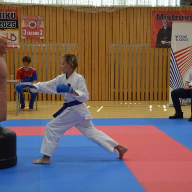 Mistrovství FSKA Funakoshi Cup 21.6.2025