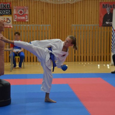 Mistrovství FSKA Funakoshi Cup 21.6.2025