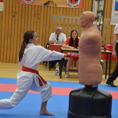 Mistrovství FSKA Funakoshi Cup 21.6.2025