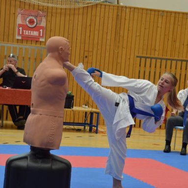 Mistrovství FSKA Funakoshi Cup 21.6.2025