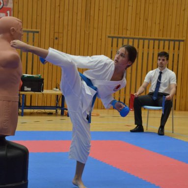 Mistrovství FSKA Funakoshi Cup 21.6.2025
