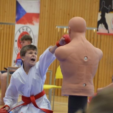 Mistrovství FSKA Funakoshi Cup 21.6.2025