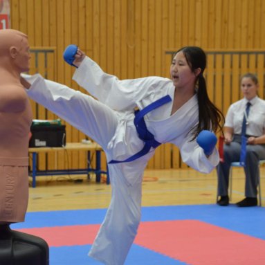 Mistrovství FSKA Funakoshi Cup 21.6.2025