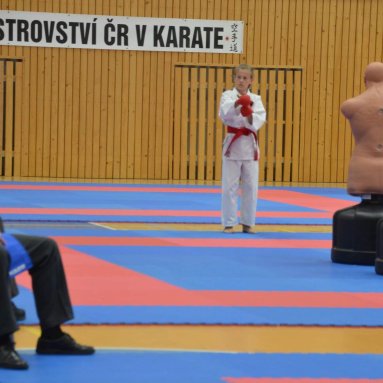 Mistrovství FSKA Funakoshi Cup 21.6.2025