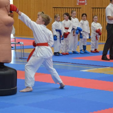 Mistrovství FSKA Funakoshi Cup 21.6.2025
