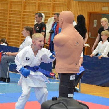 Mistrovství FSKA Funakoshi Cup 21.6.2025