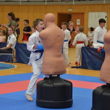 Mistrovství FSKA Funakoshi Cup 21.6.2025