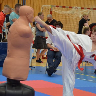 Mistrovství FSKA Funakoshi Cup 21.6.2025