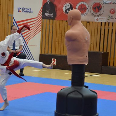 Mistrovství FSKA Funakoshi Cup 21.6.2025