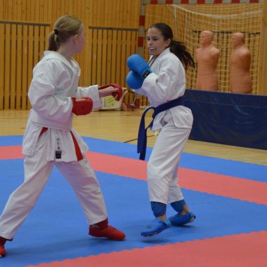 Mistrovství FSKA Funakoshi Cup 21.6.2025