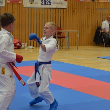 Mistrovství FSKA Funakoshi Cup 21.6.2025