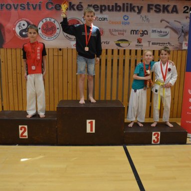 Mistrovství FSKA Funakoshi Cup 21.6.2025
