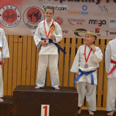 Mistrovství FSKA Funakoshi Cup 21.6.2025