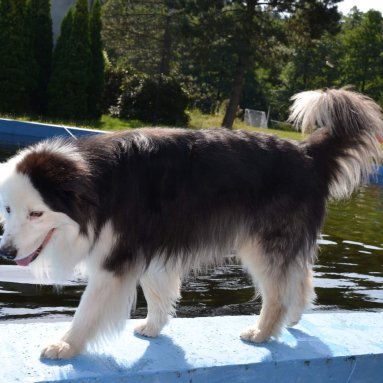 Soustředění Chřibská 16.8.-23.8.2025