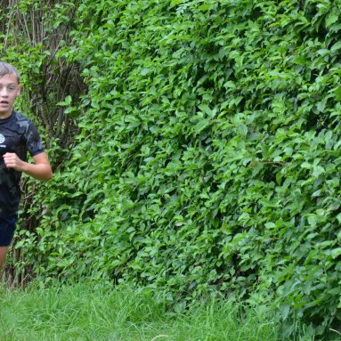 Soustředění Chřibská 16.8.-23.8.2025