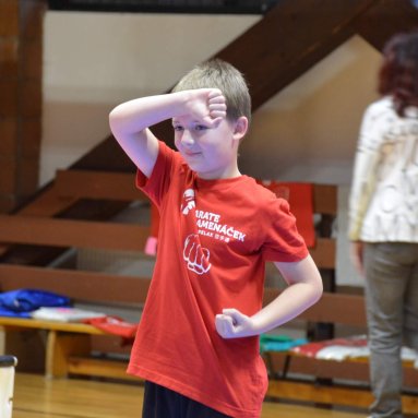 Pohár bojovníků 6.12.2025