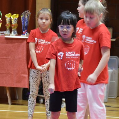 Pohár bojovníků 6.12.2025