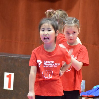 Pohár bojovníků 6.12.2025