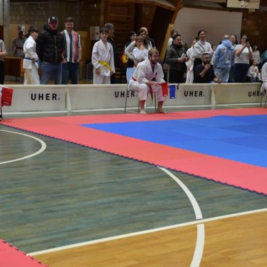 Pohár bojovníků 6.12.2025