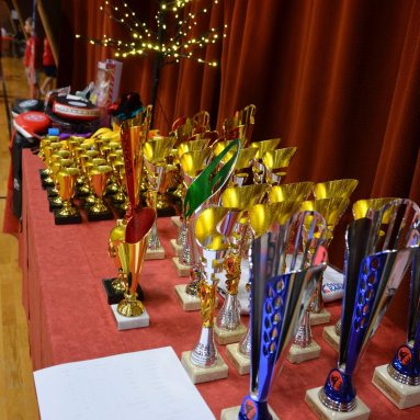 Pohár bojovníků 6.12.2025