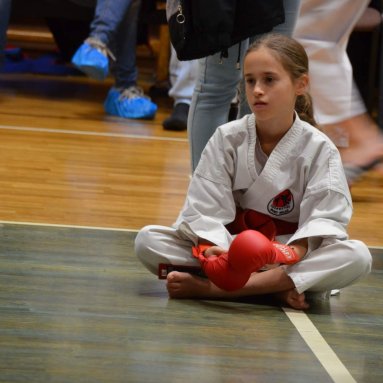 Pohár bojovníků 6.12.2025