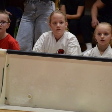 Pohár bojovníků 6.12.2025