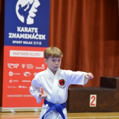 Pohár bojovníků 6.12.2025