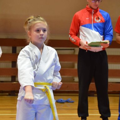 Pohár bojovníků 6.12.2025