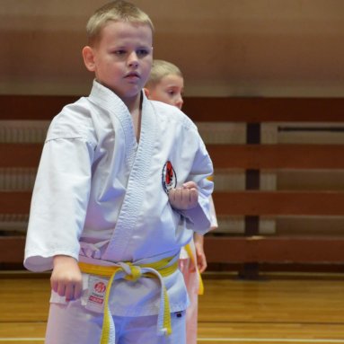 Pohár bojovníků 6.12.2025