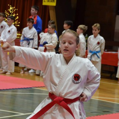 Pohár bojovníků 6.12.2025