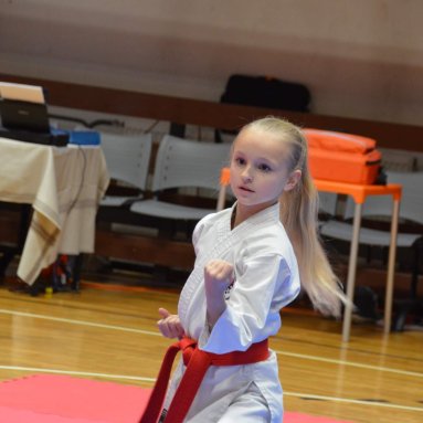 Pohár bojovníků 6.12.2025