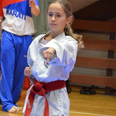 Pohár bojovníků 6.12.2025