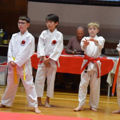 Pohár bojovníků 6.12.2025